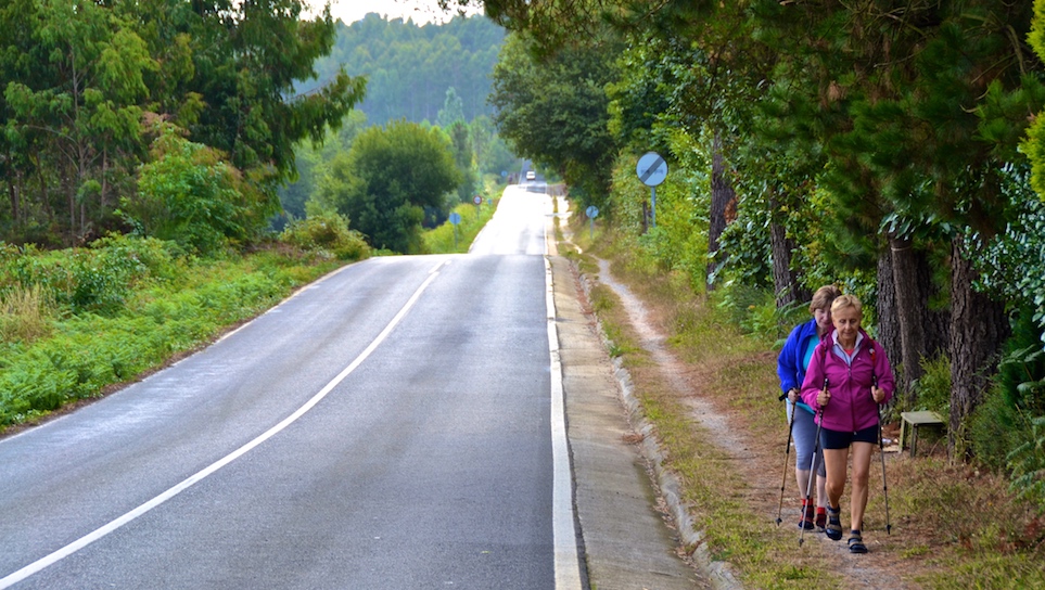 El Camino de Santiago desde Asturias 