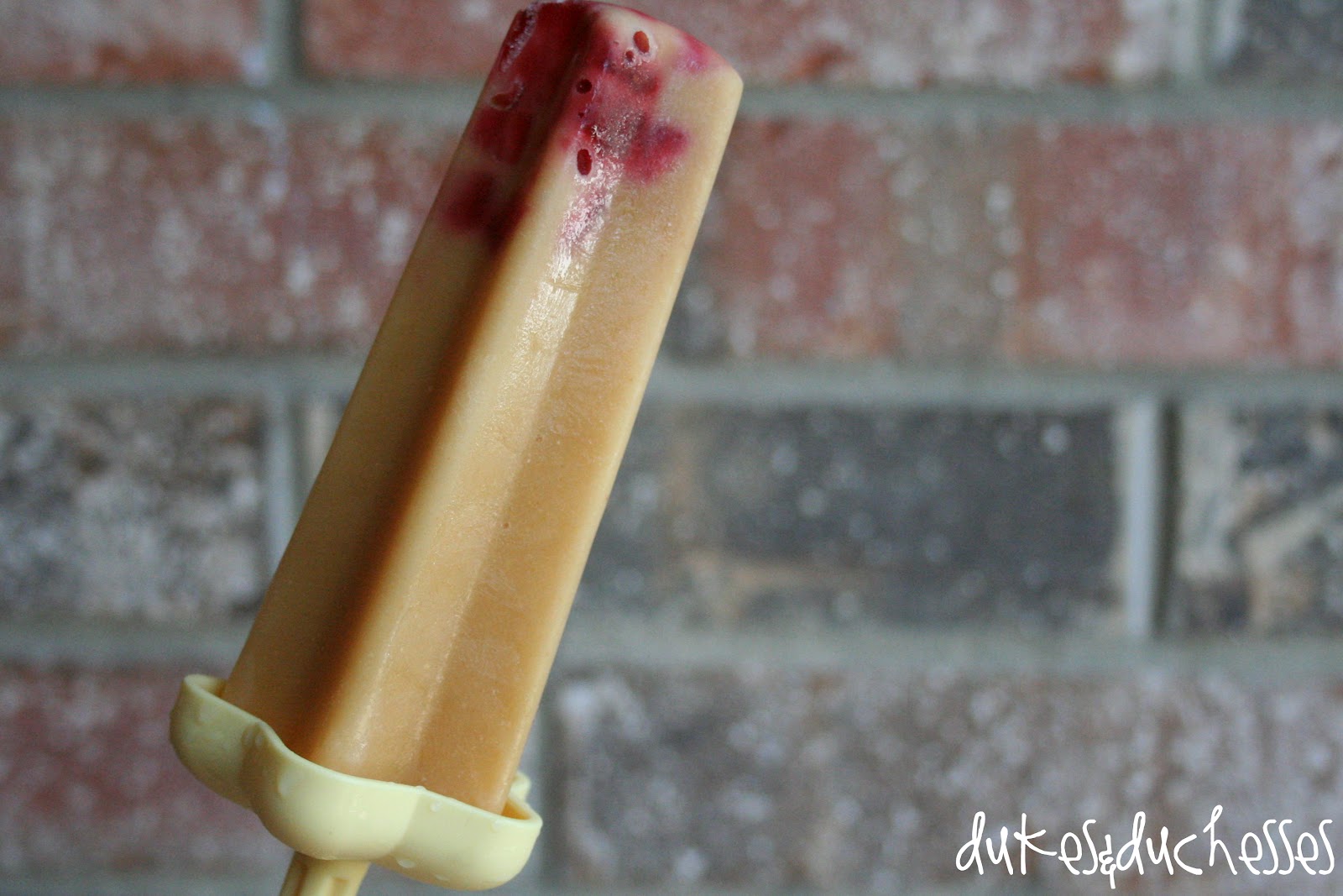Earth's Best Yogurt Smoothie Popsicles Dukes and Duchesses