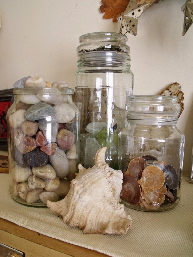 Wild Treasures 5 Ways To Display Finds