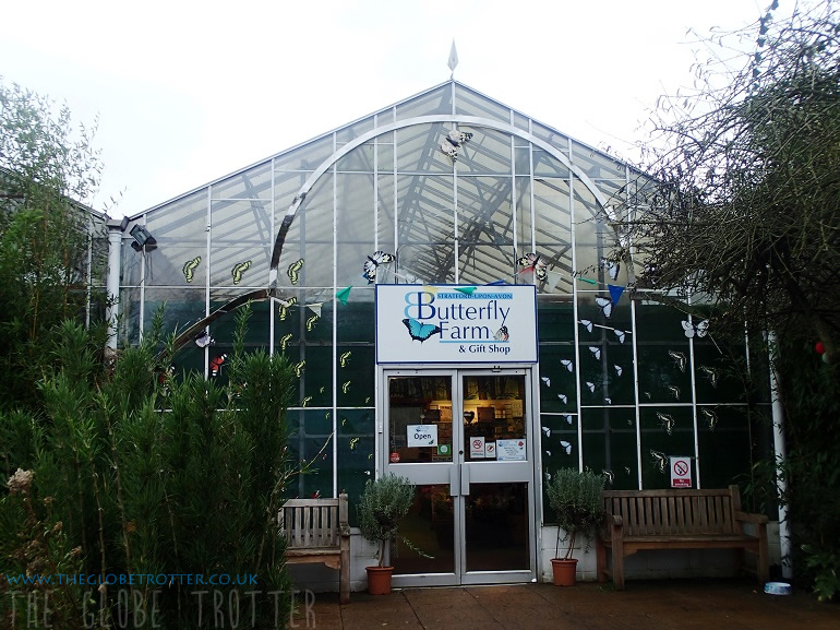 Butterfly Farm in Stratford-upon-Avon 