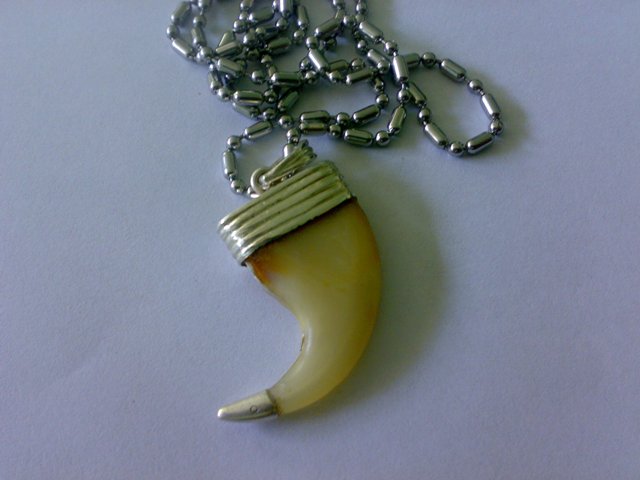 41+ Inspirasi Baru Gambar Keramik Kuku Macan