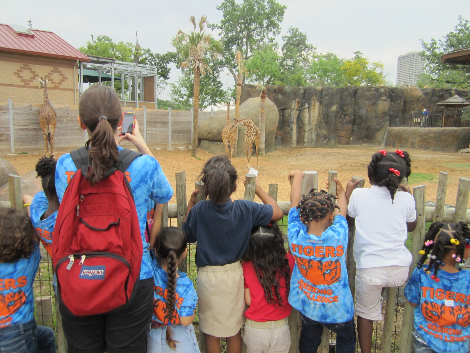 Kindergarten is "Kool": Kindergarten Field Trip to the Houston Zoo