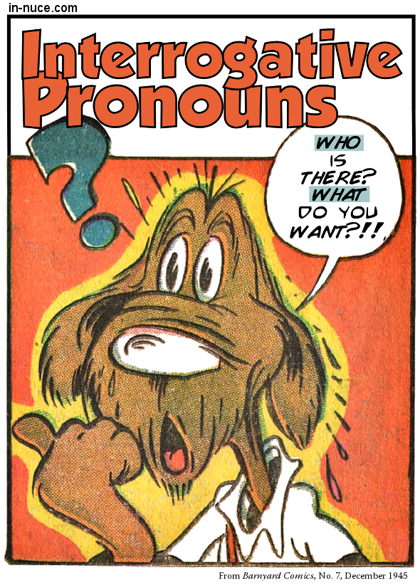 in-nuce-grammar-interrogative-pronouns