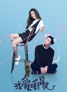 Tôi Yêu Miêu Tinh Nhân - I Love Catman Tôi Yêu Miêu Tinh Nhân