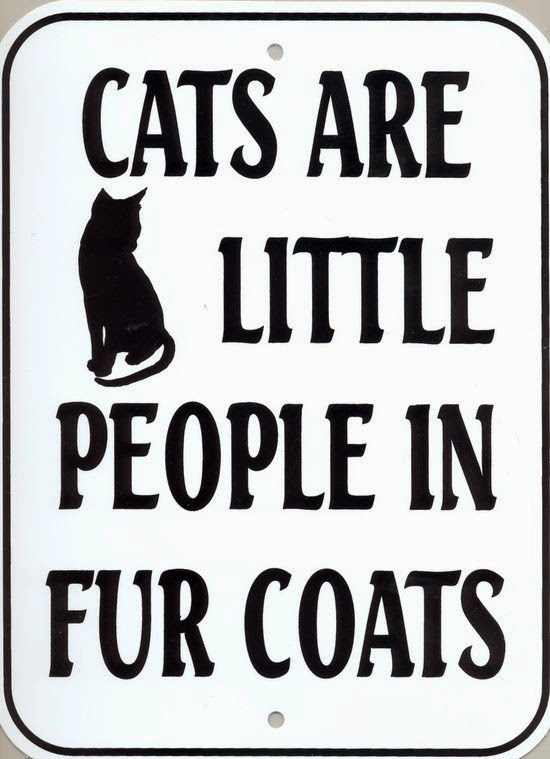 Cats are little people in fur coats ~ God is Heart