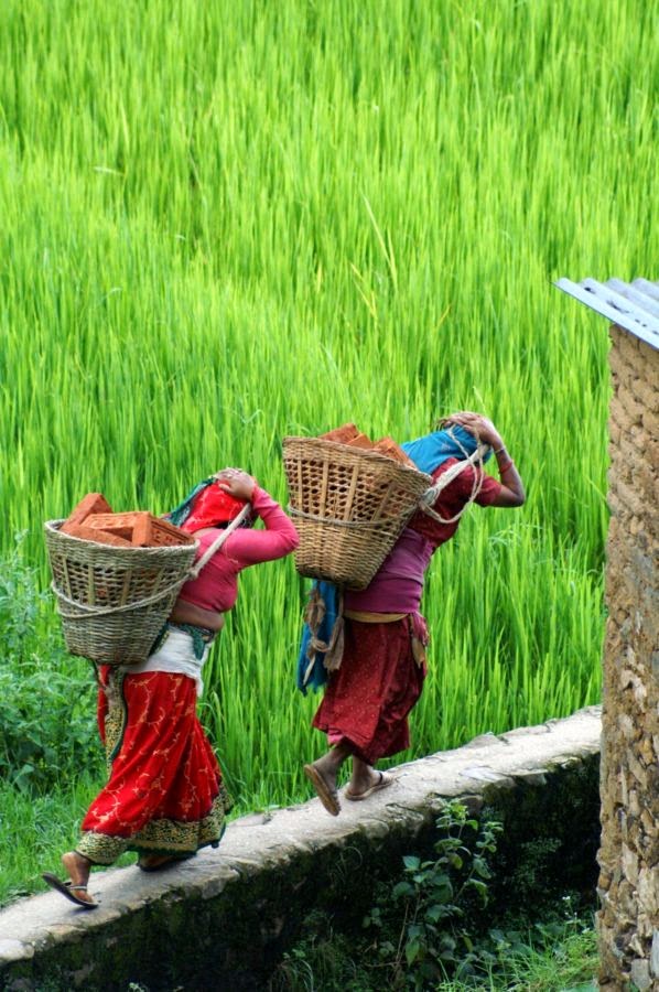 visite vallée de Kathmandu - Nepal