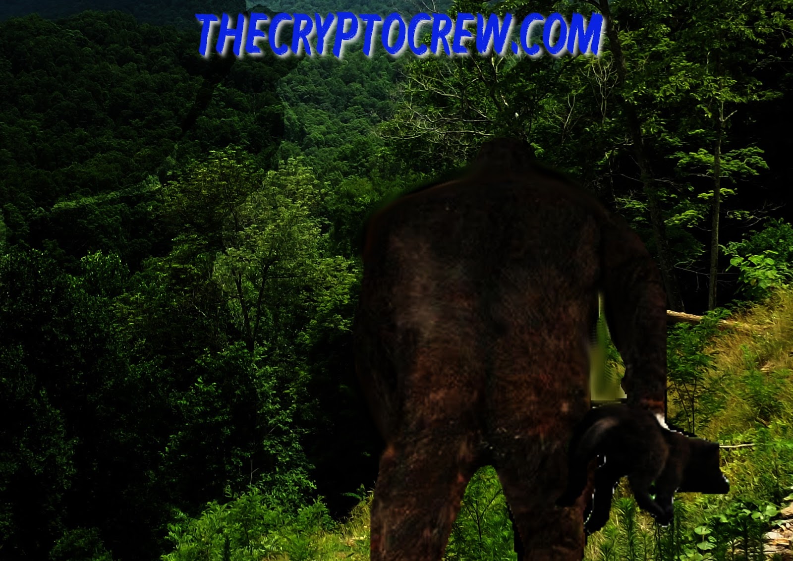 Bigfoot Steals Dog Witness Interview The Crypto Crew