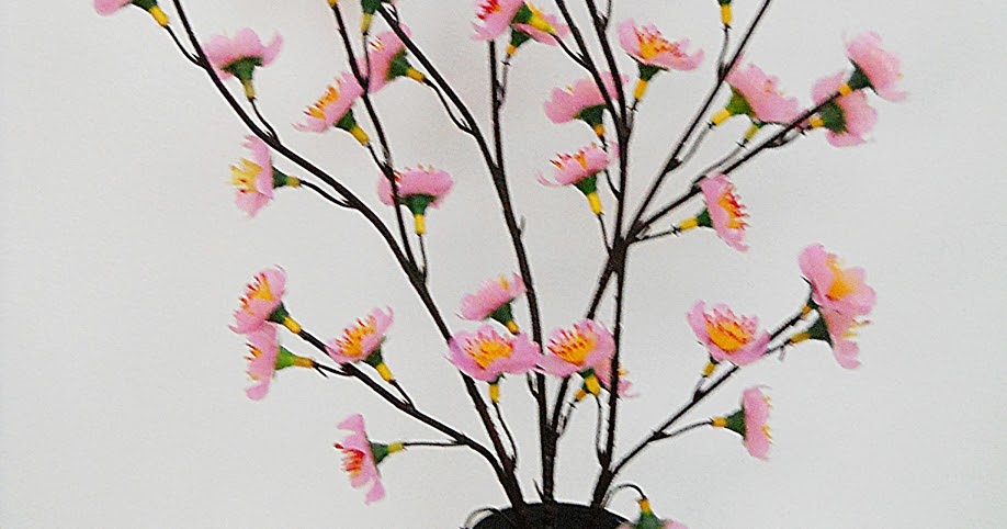 Wow 24+ Gambar Bunga Sakura Dari Sedotan Gambar Bunga HD