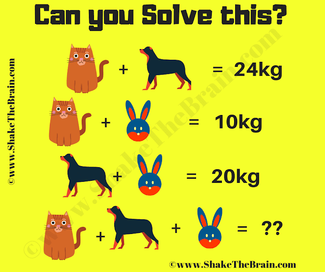 Maths Brain Teaser Algebra Picture Puzzle (Answer Included)