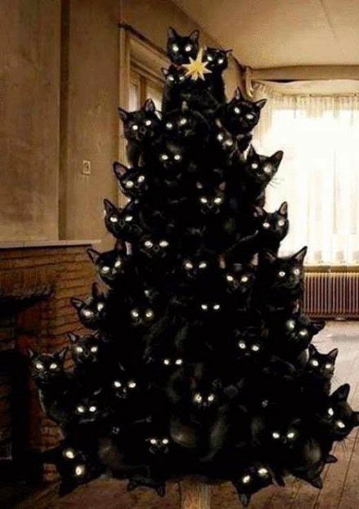 Kerstboom van katten