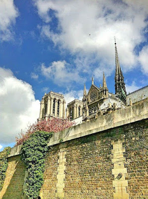 Notre Dame Paris 5 Parisian Things #3