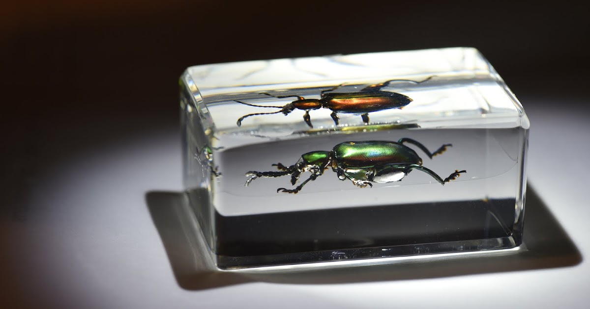 The Colors They See Jeweled Frog Beetle Iridescence