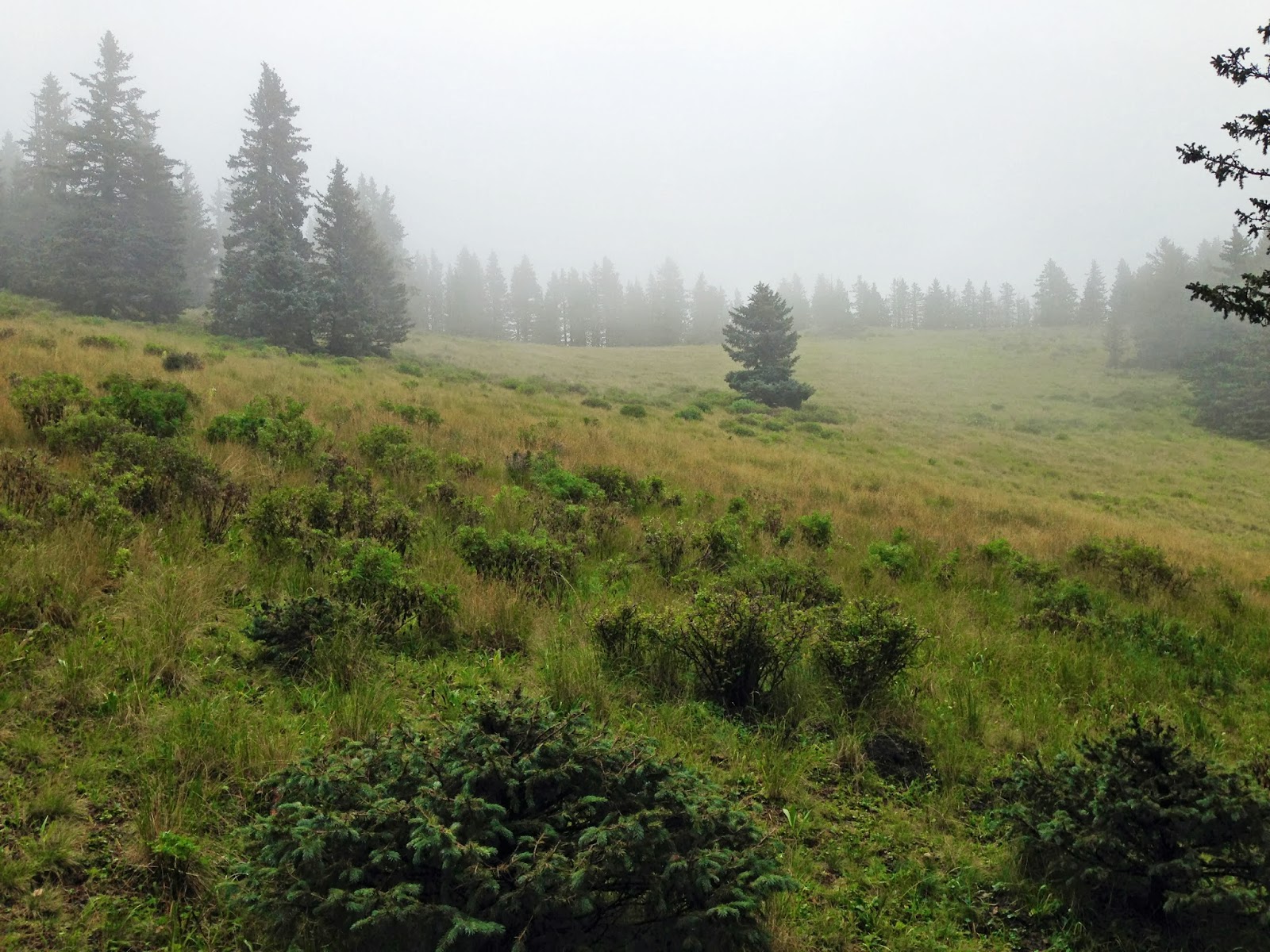 Sierra Blanca, New Mexico