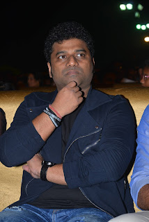 nenu local audio launch photos nenu local audio launch photos