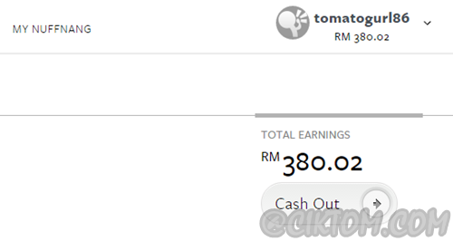 Income nuffnang setahun?