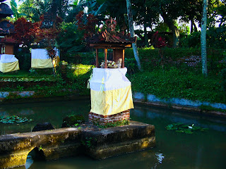 Natural Pond in the Temple, Bali, Indonesia