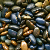 Mixed dry beans in shades of dark blue, brown, and a color in between that looks like a dark grey..