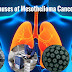 Do We Know What Causes Malignant Mesothelioma?