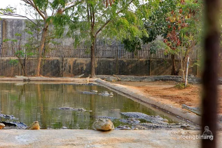 taman buaya tanjung pasir tangerang