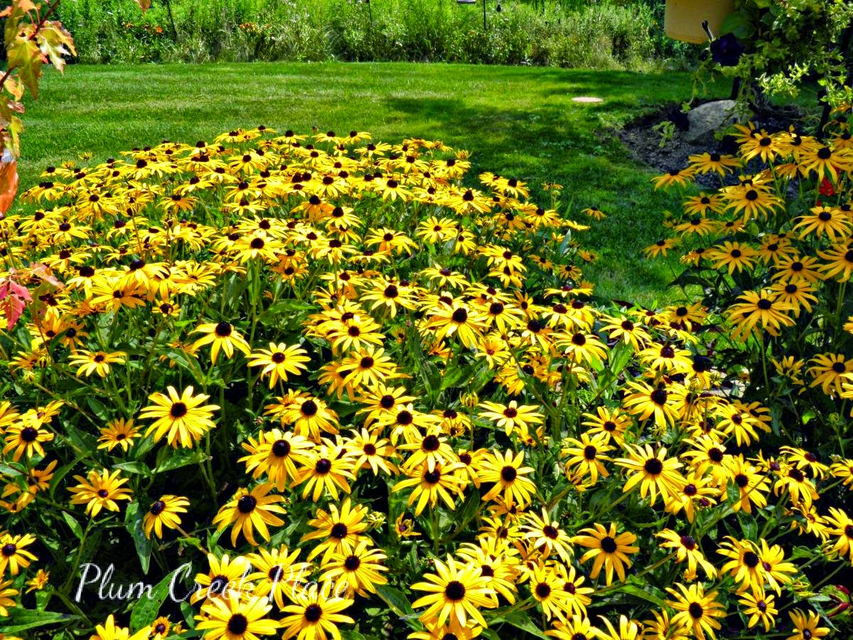Plum Creek Place Nautical Tablescape With Lighthouses