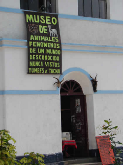 Museo de Animales Fenómenos