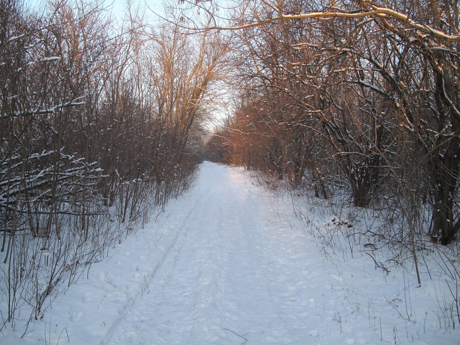 Щепкинский лес ростов на дону как добраться на машине карта