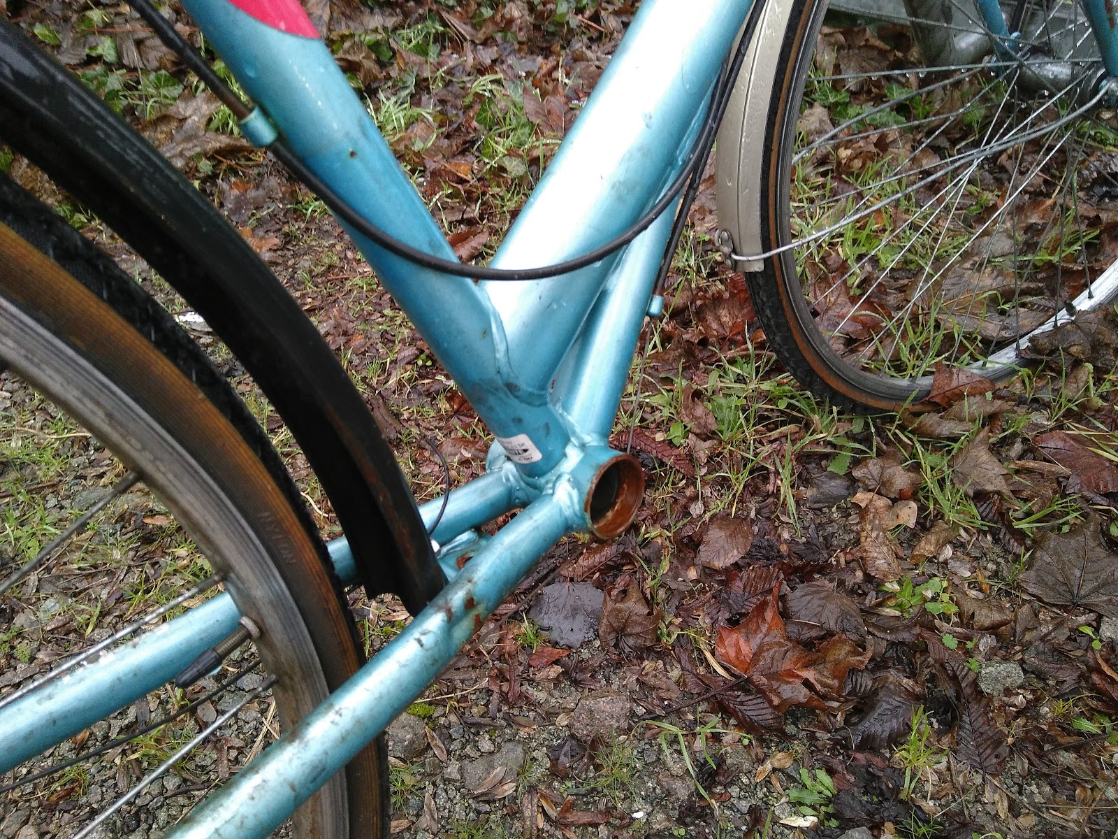 Eindeloze Omwentelingen Gel