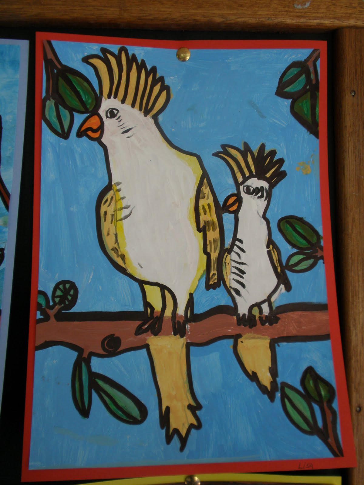 Art with Mrs Baker: Australian Bird Paintings