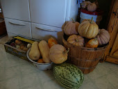 Fall Harvest