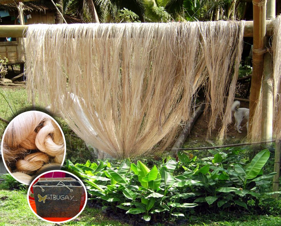 PIA Western Mindanao Abaca industry in ZamPen booming