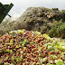 Man Who Forced French Supermarkets To Donate Food Wants To Take Law Global