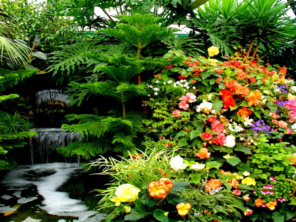 Fotografias de flores y cascadas Fotografias y fotos para imprimir Fotografias de flores y cascadas Fotografias y fotos para imprimir