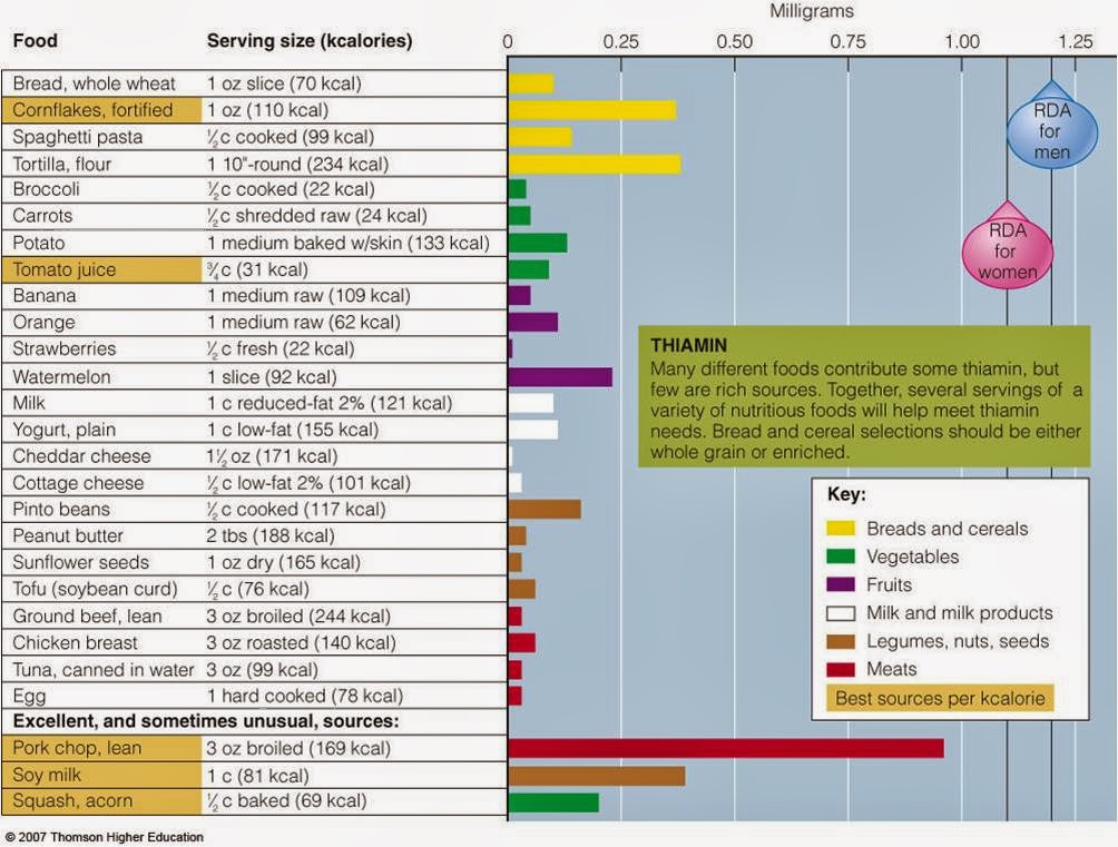 Good Nutrition, the New Tradition... The energy nutrient (Vitamin B1