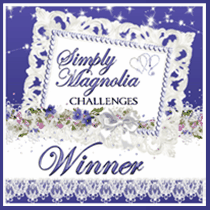 Winnaar Challenge #17- 2016