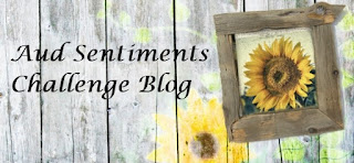 Aud Sentiments Challenge Blog