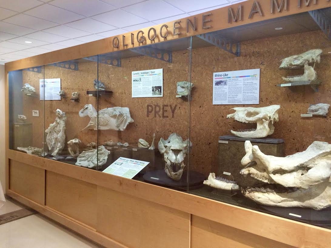 Mace Brown Museum of Natural History at the College of Charleston