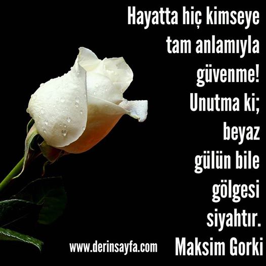 biie goigesi siyahtir maksim gorki