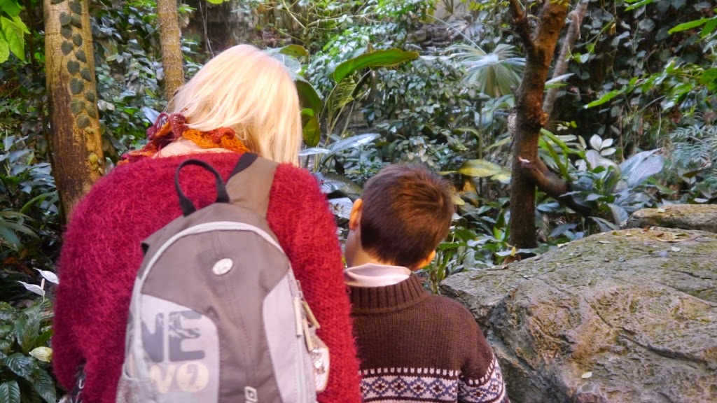 Biodôme de Montréal