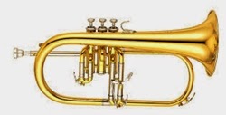 Flugel Horn