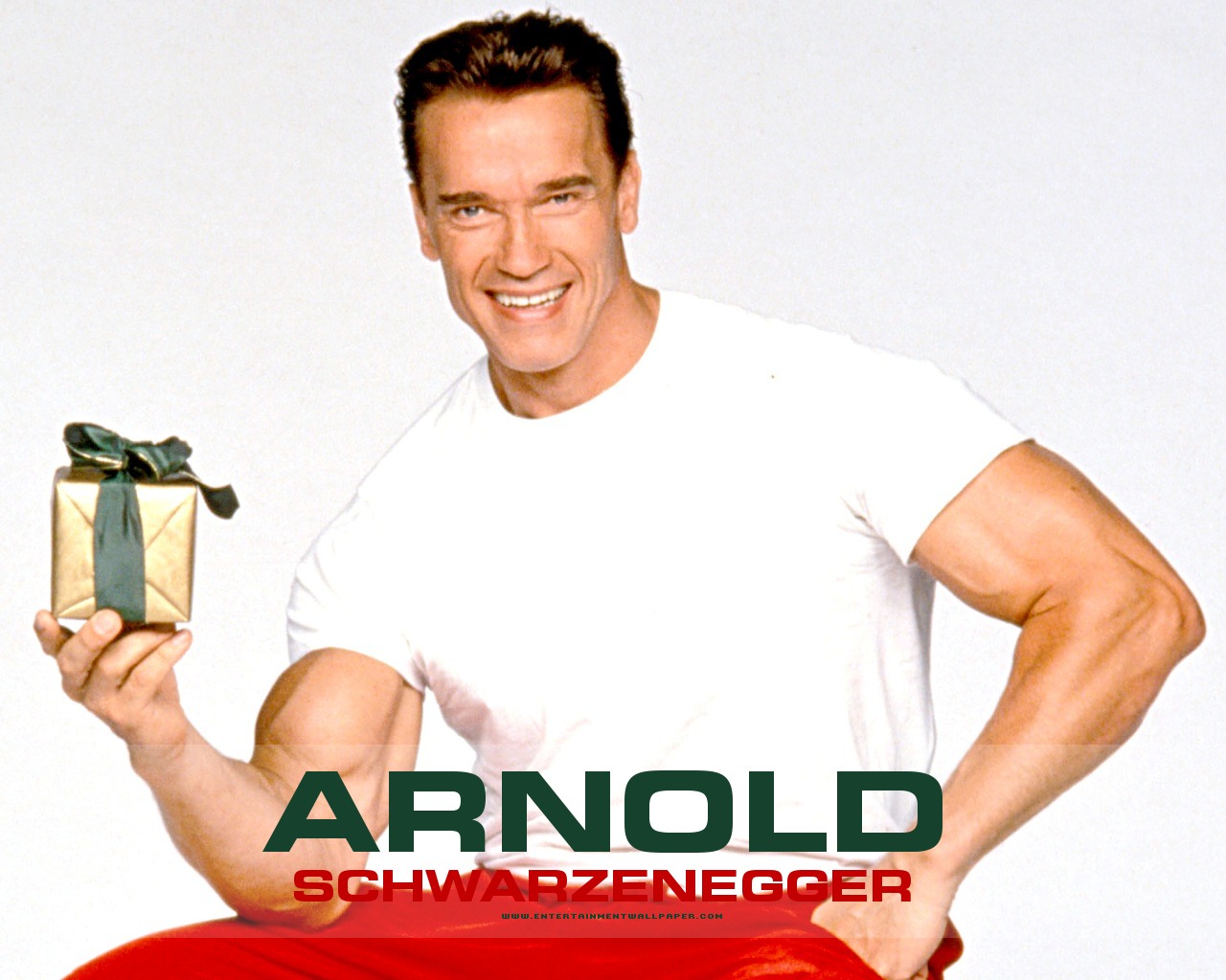 Arnold Schwarzenegger 1 9