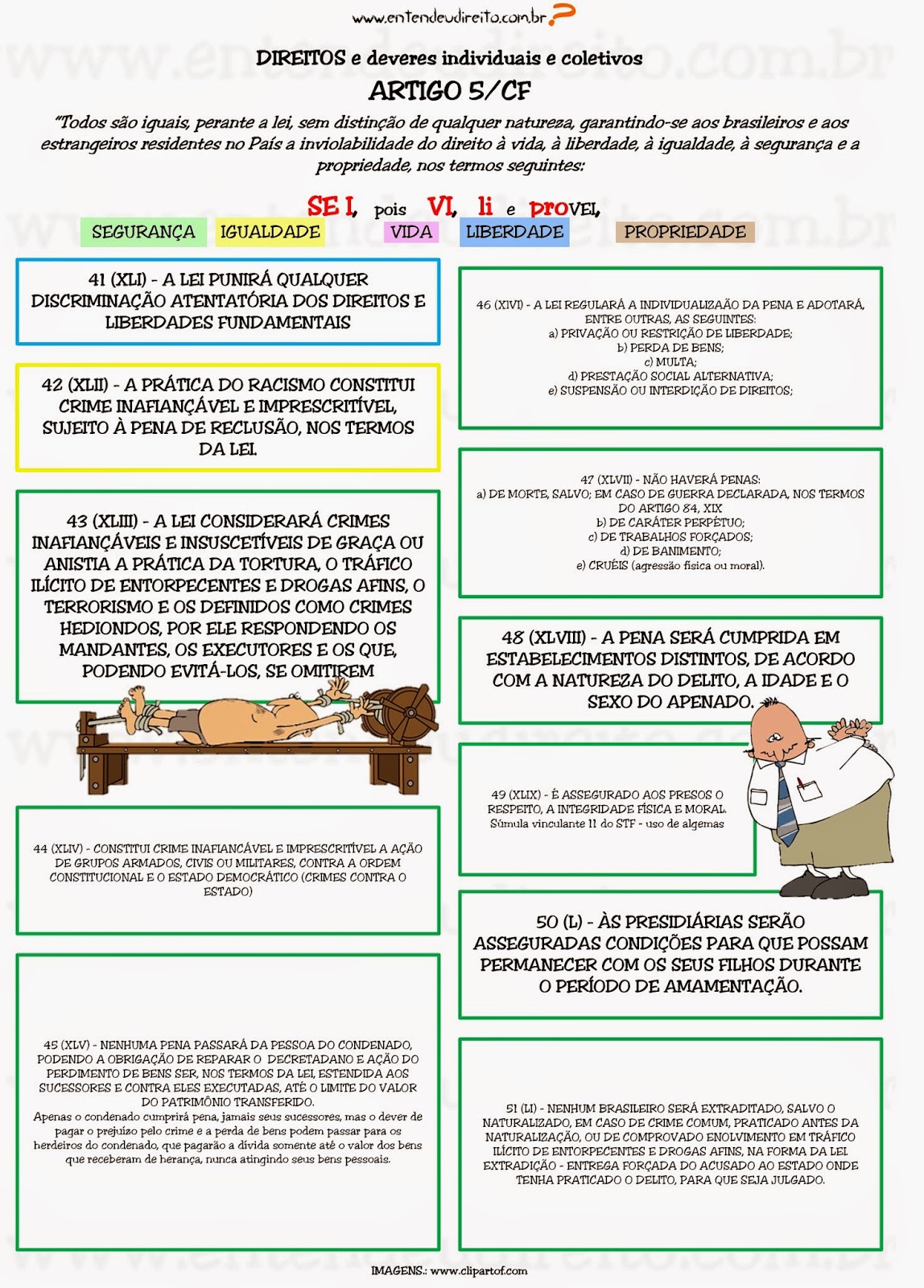 Artigo 41