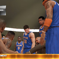 NY Knicks during Timeout