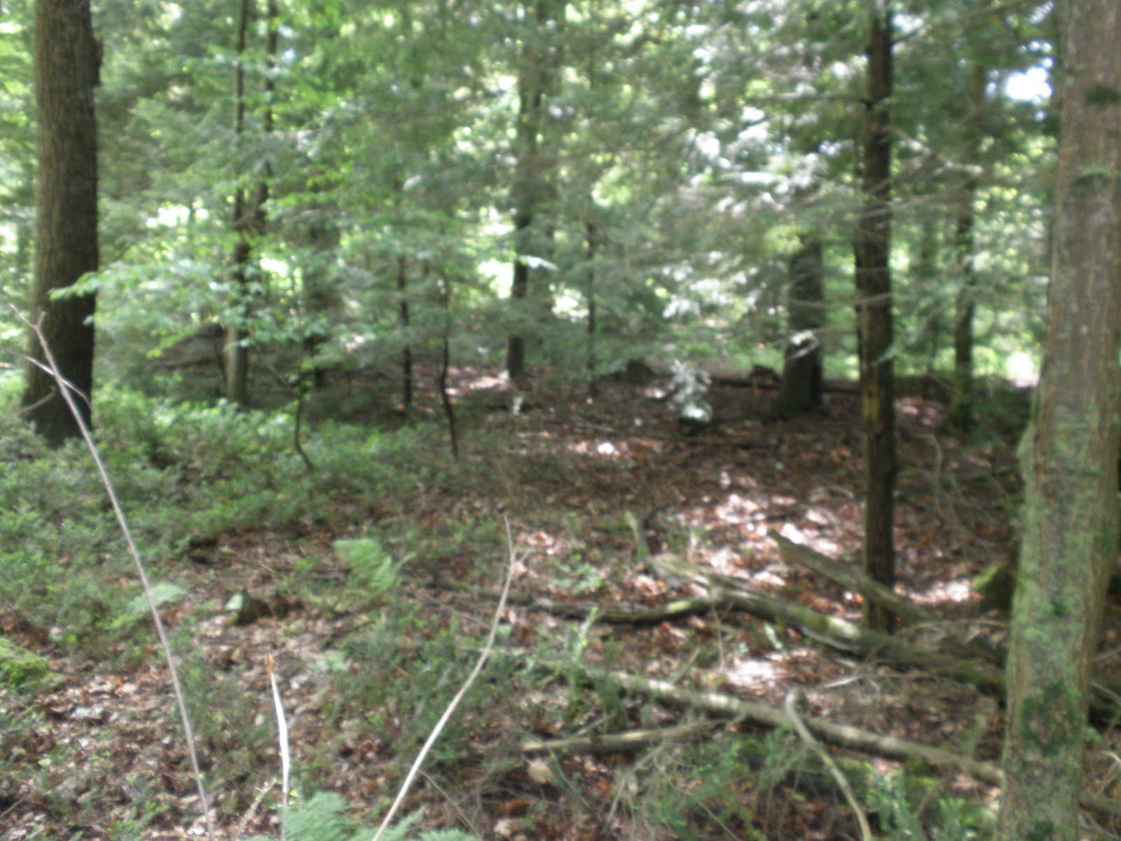 Upstate Earth Finding the ancient Mohawk village of Otstungo