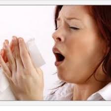 Alerta Orl Rinita Alergica Stranut Frecvent
