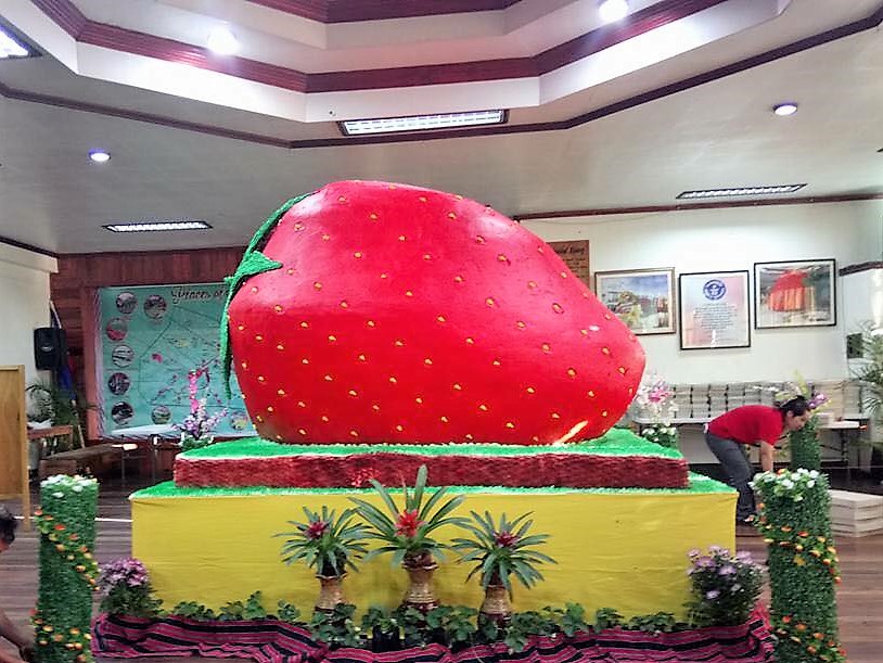 √ダウンロード world record largest strawberry 938967World record longest