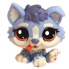Littlest Pet Shop Globes Husky (#1683) Pet