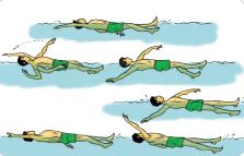 Gerakan Kaki Dalam Renang Gaya Punggung Adalah - Anime Obsessed