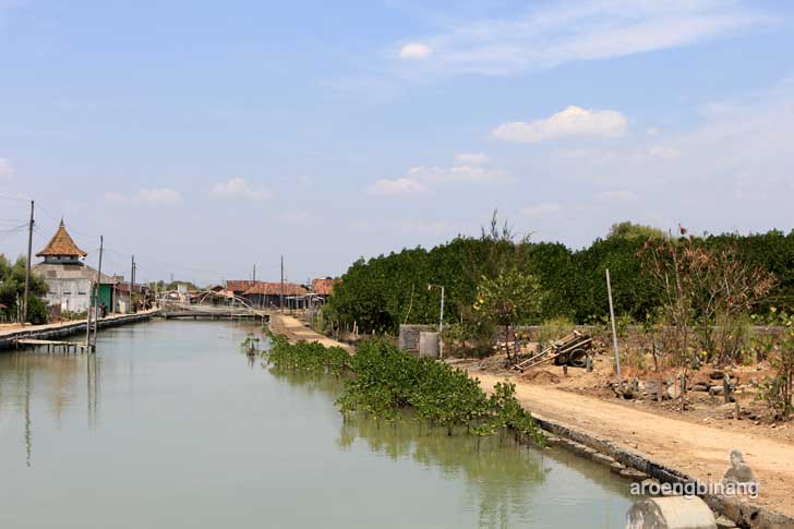taman mangrove morosari demak