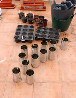 Lots of seeds planted Lots of seeds planted