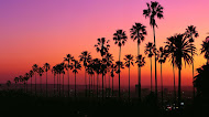 Los Angeles Sunset | Mobile Wallpaper